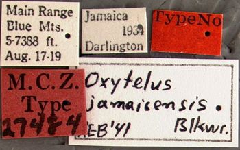 Media type: image; Entomology 27484   Aspect: labels